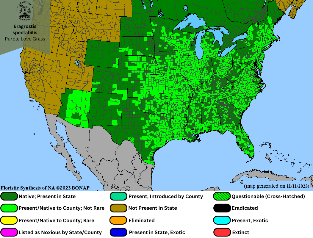 Eragrostis spectabilis - Purple Love Grass Range Map