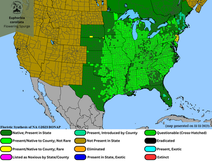 Euphorbia corollata - Flowering Spurge Range Map