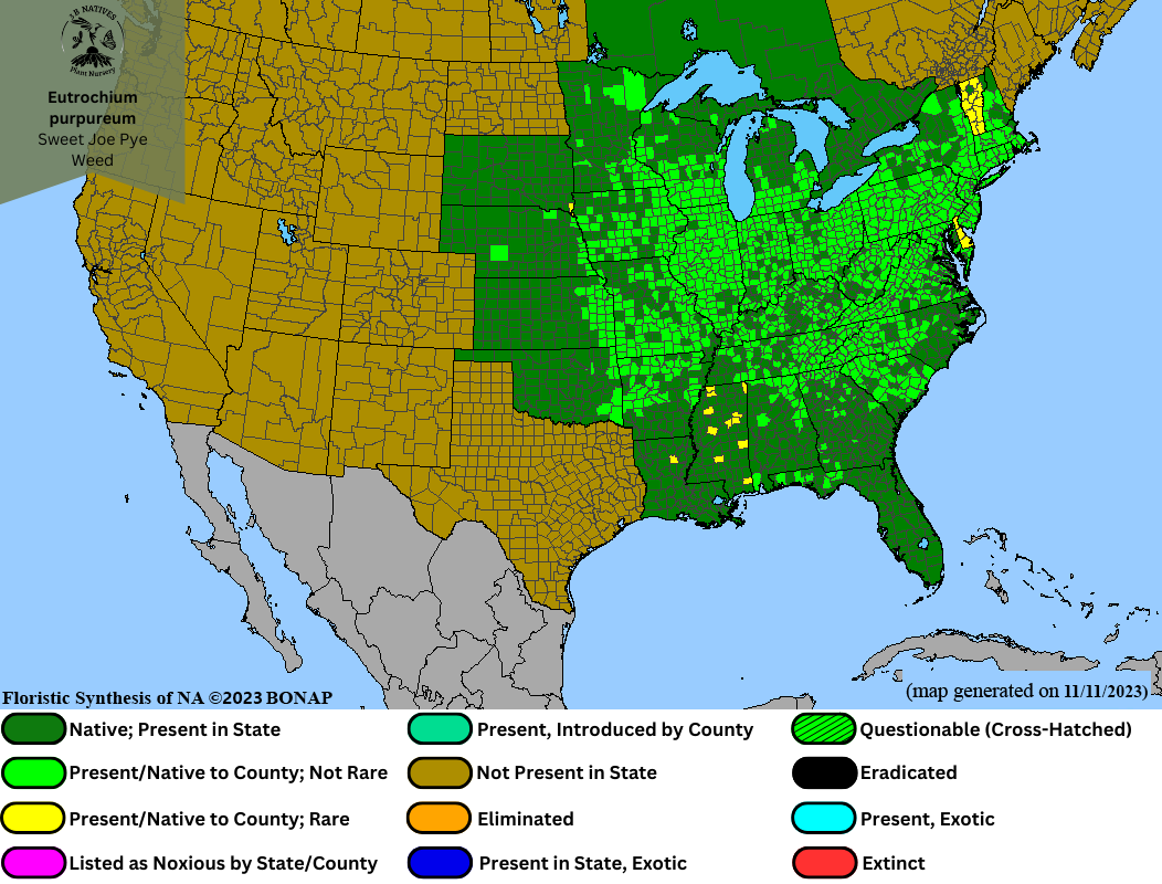 Eutrochium purpureum - Sweet Joe Pye Weed Range Map