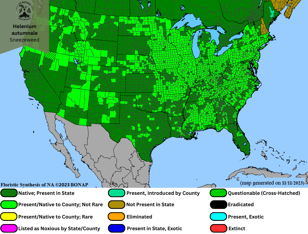 Helenium autumnale - Sneezeweed Range Map