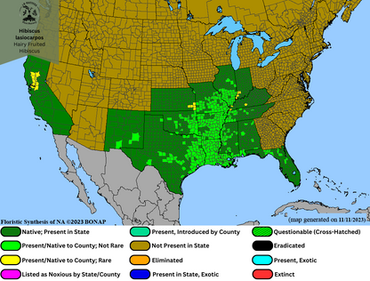 Hibiscus lasiocarpus - Hairy Fruited Hibiscus Range Map