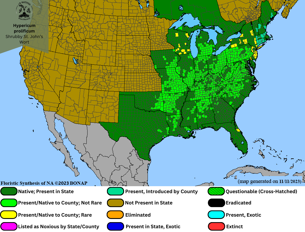 Hypericum prolificum - Shrubby St. John's Wort Range Map