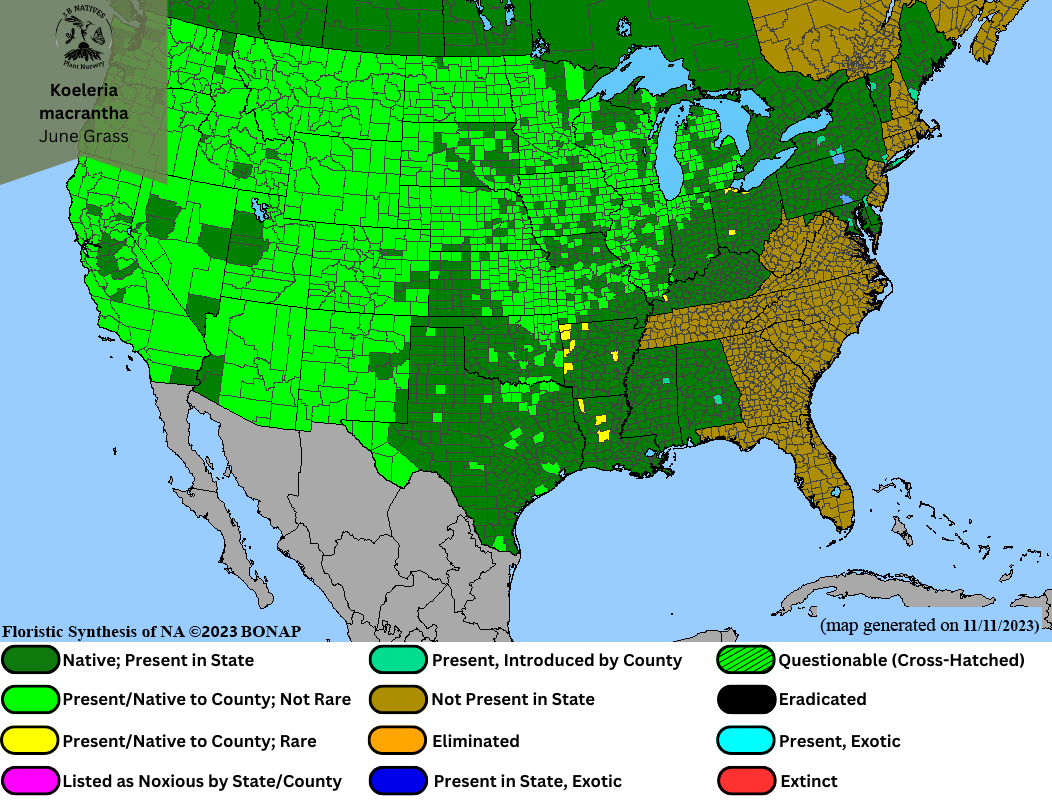 Koeleria macrantha - June Grass Range Map