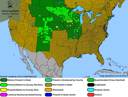 Liatris ligulistylis - Meadow Blazing Star Range Map