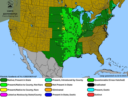 Liatris pycnostachya - Prairie Blazing Star Range Map