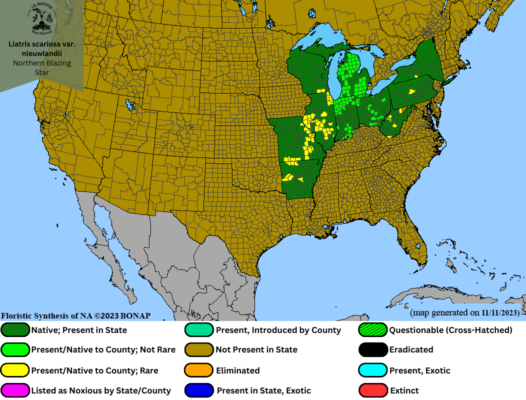 Liatris scariosa var niewlandii - Northern Blazing Star Range Map