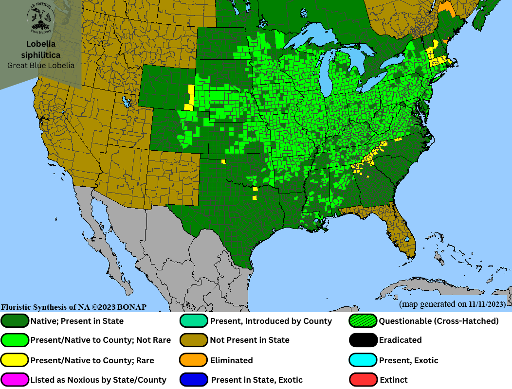 Lobelia siphilitica - Great Blue Lobelia Range Map