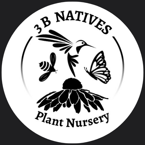 BONAP Plant Maps – 3 B Natives Plant Nursery