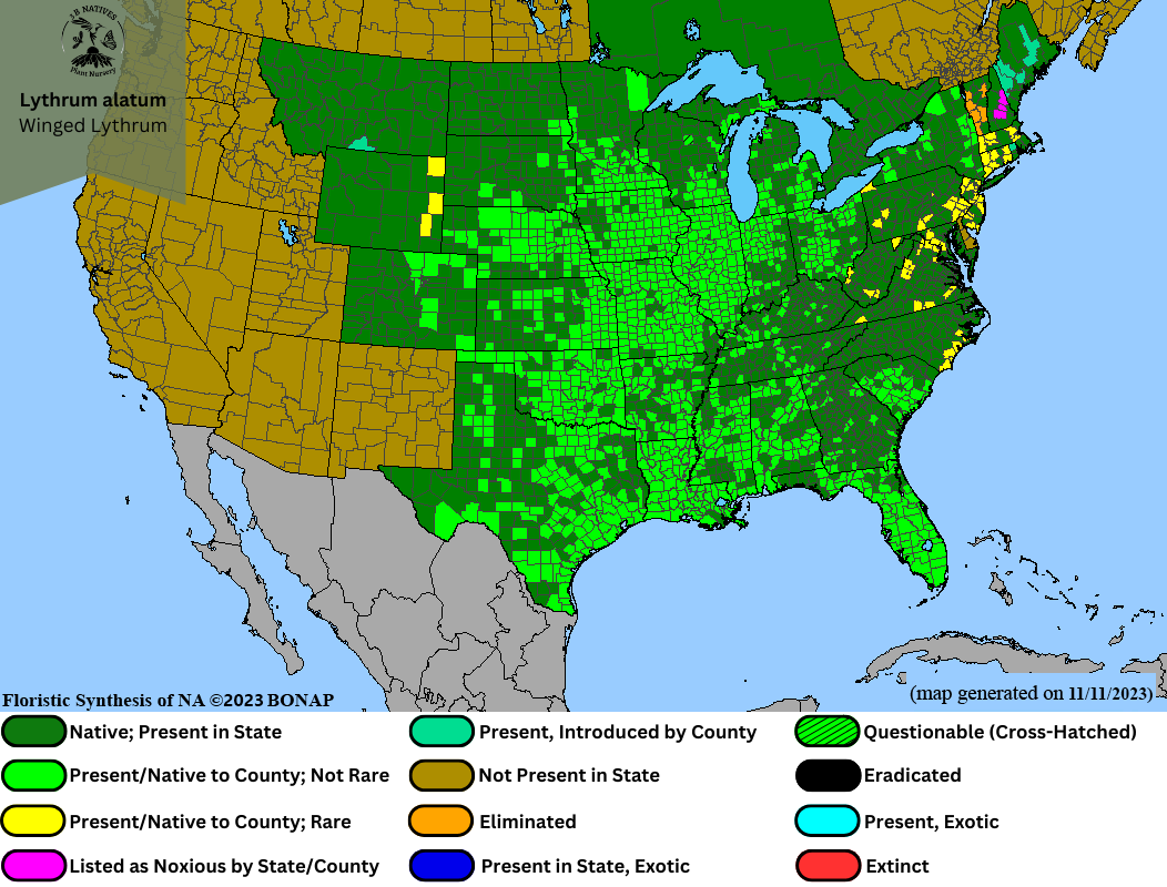 Lythrum alatum - Winged Lythrum Range Map