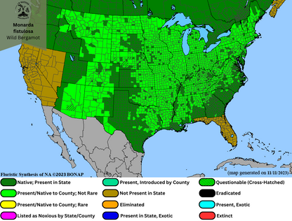 Monarda fistulosa - Wild Bergamot Range Map