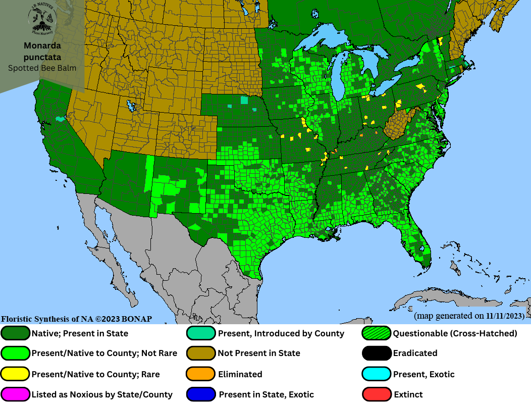 Monarda punctata - Spotted Bee Balm Range Map