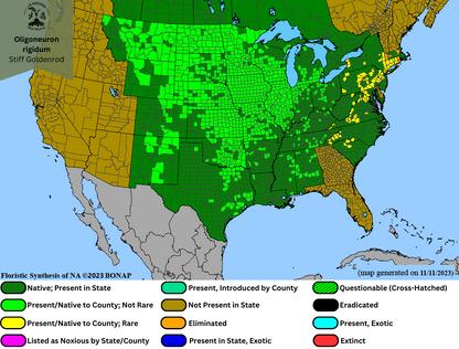 Oligoneuron rigidum - Stiff Goldenrod Range Map