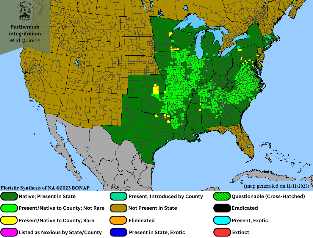 Parthenium integrifolium - Wild Quinine Range Map