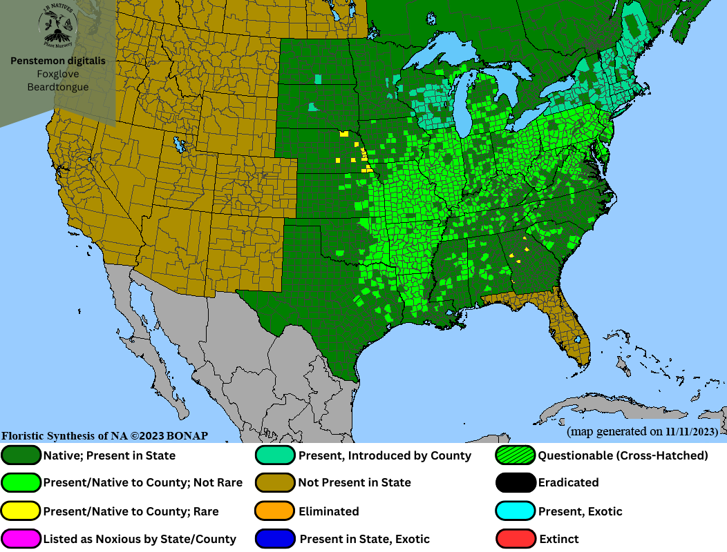 Penstemon digitalis - Foxglove Beardtongue Range Map