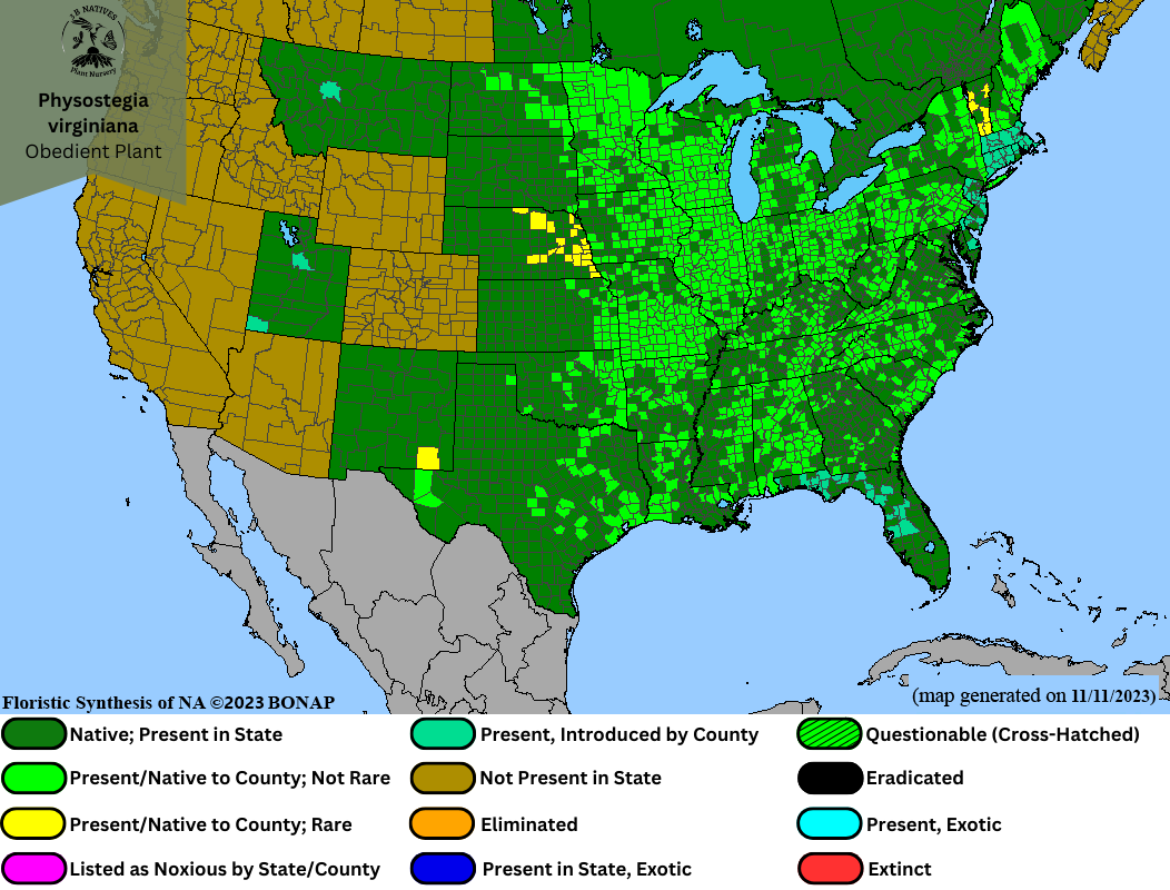 Physostegia virginiana - Obedient Plant Range Map