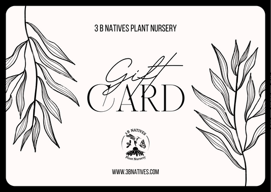 3 B Natives Plant Nursery Gift Card