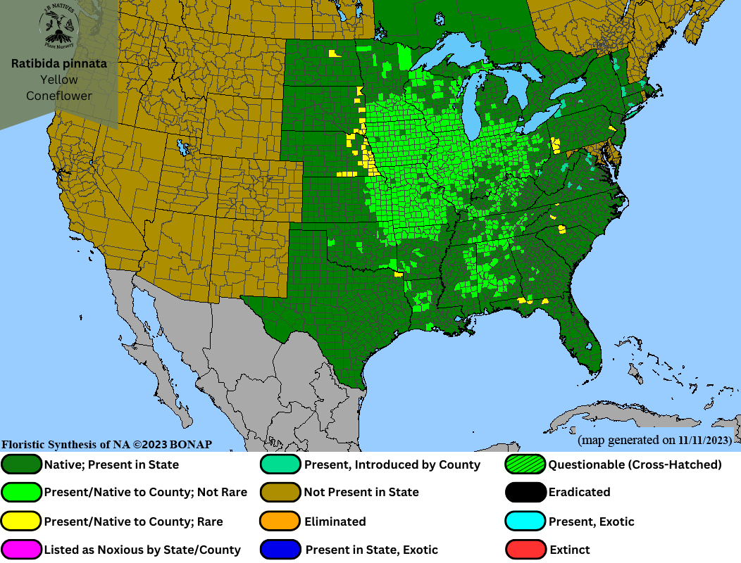 Ratibida pinnata - Yellow Coneflower Range Map