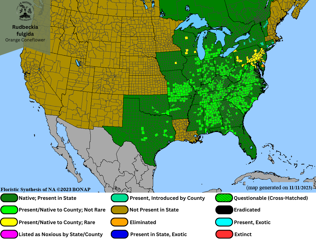 Rudbeckia fulgida - Orange Coneflower Range Map