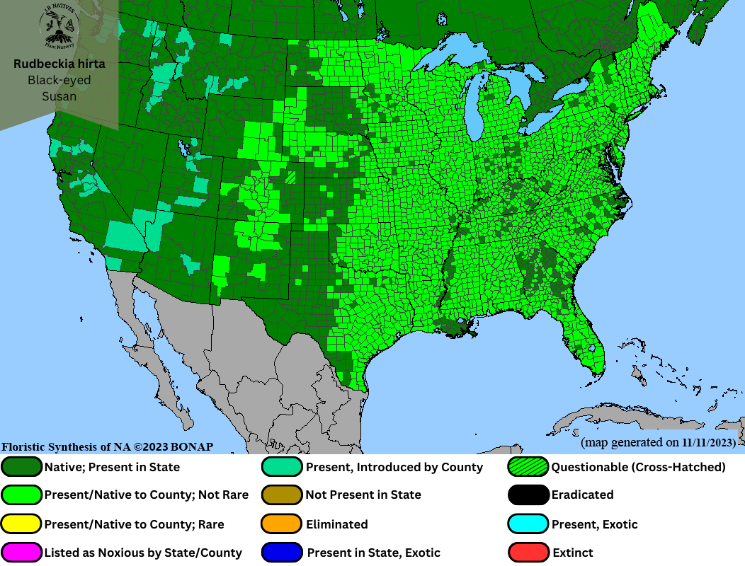 Rudbeckia hirta - Black-eyed Susan Range Map