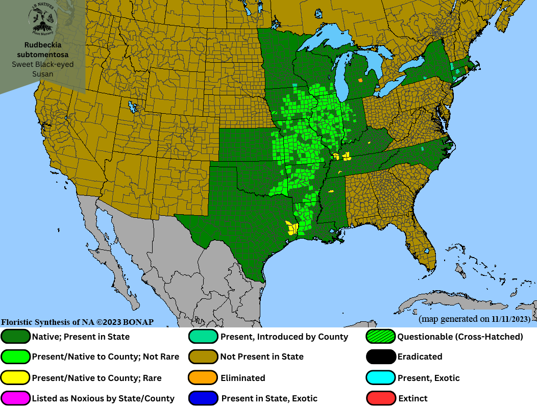 Rudbeckia subtomentosa - Sweet Black-eyed Susan Range Map