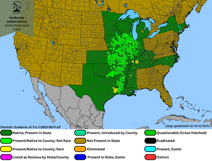 Rudbeckia subtomentosa - Sweet Black-eyed Susan Range Map