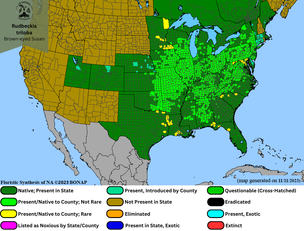 Rudbeckia triloba - Brown-eyed Susan Range Map