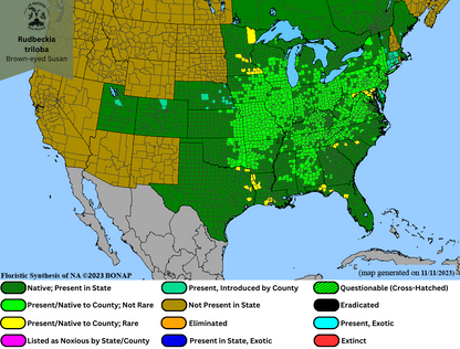 Rudbeckia triloba - Brown-eyed Susan Range Map