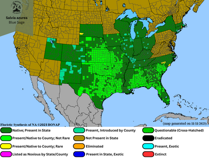 Salvia azurea - Blue Sage Range Map