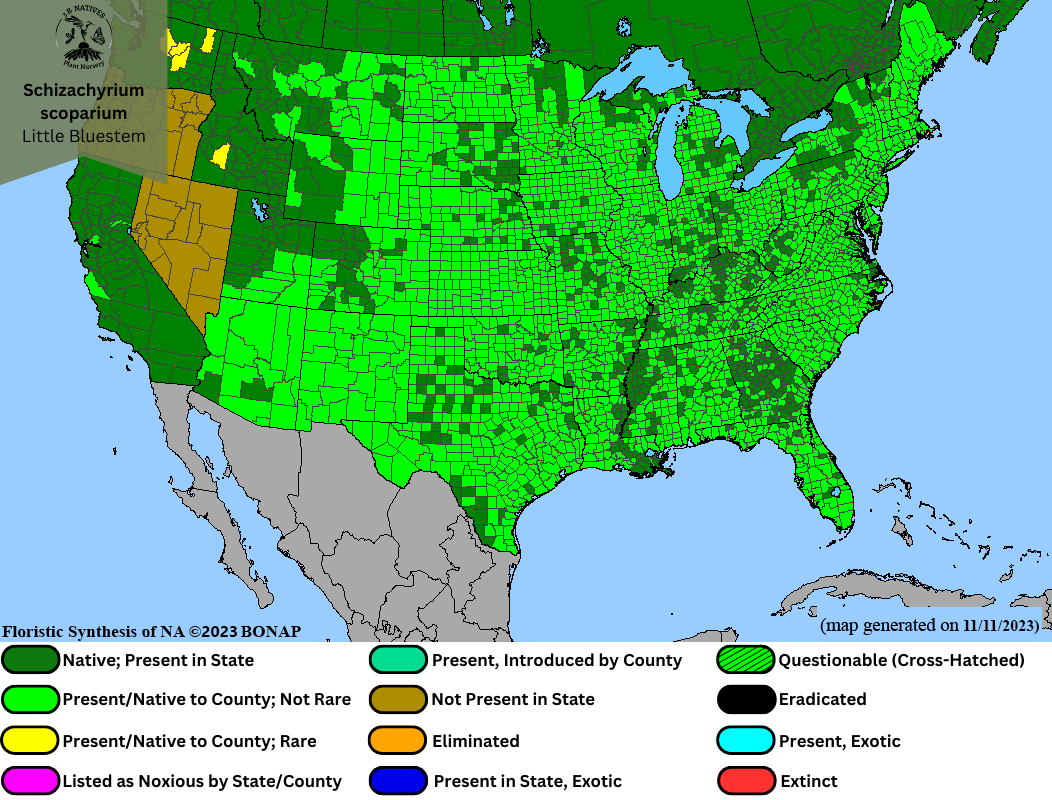 Schizachyrium scoparium - Little Bluestem Range Map