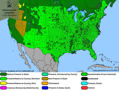 Schizachyrium scoparium - Little Bluestem Range Map