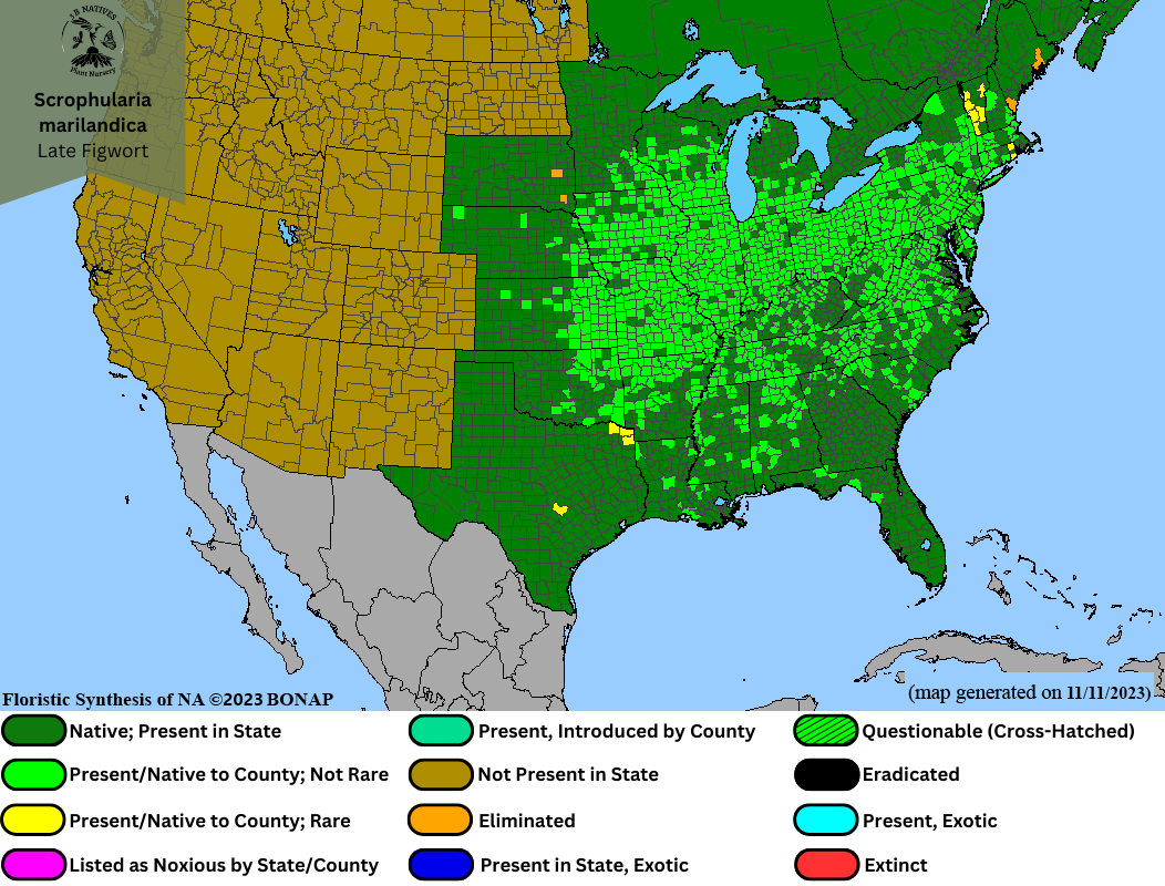 Scrophularia marilandica - Late Figwort Range Map