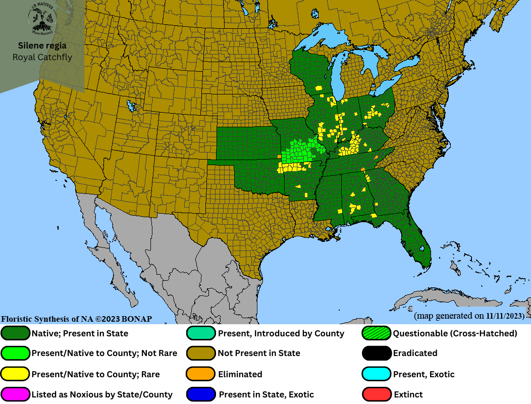 Silene regia - Royal Catchfly Range Map