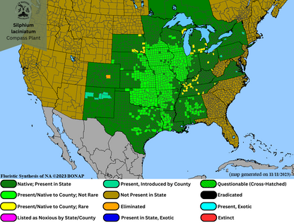 Silphium laciniatum - Compass Plant Range Map