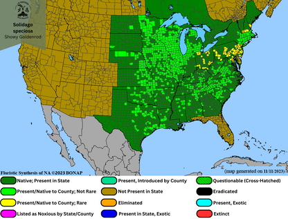 Solidago speciosa - Showy Goldenrod Range Map