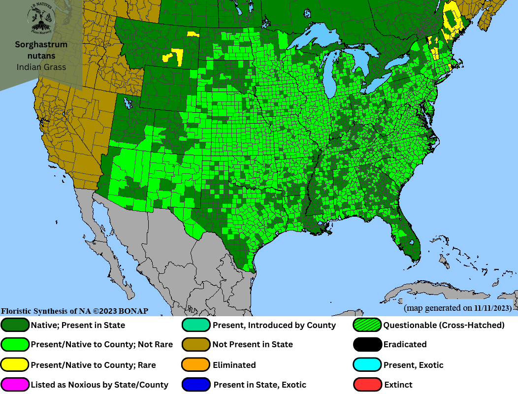 Sorghastrum nutans - Indian Grass Range Map