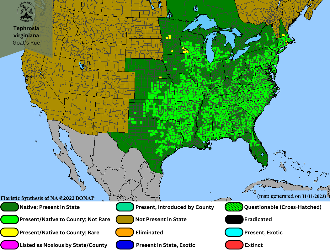 Tephrosia virginiana - Goat's Rue Range Map