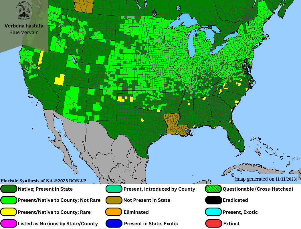 Verbena hastata - Blue Vervain Range Map