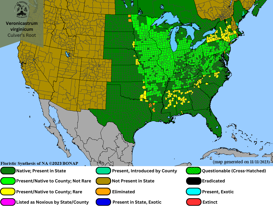 Veronicastrum virginicum - Culver's Root Range Map