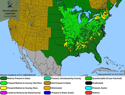 Veronicastrum virginicum - Culver's Root Range Map