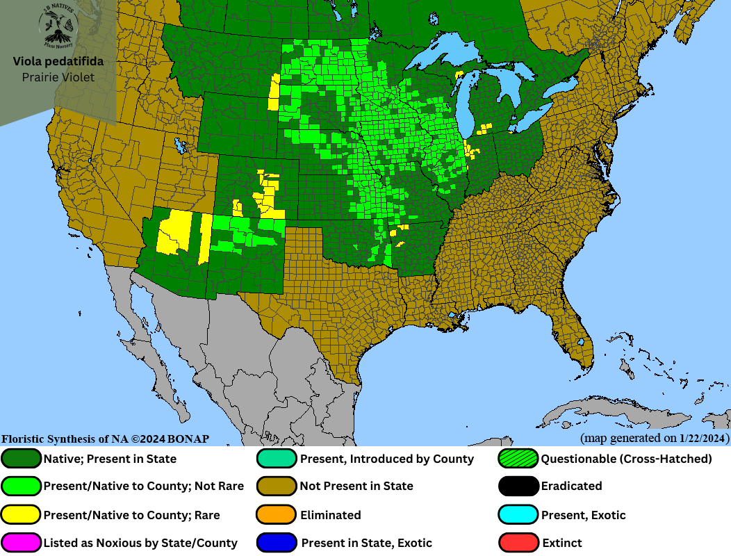 Viola pedatifida - Prairie Violet Range Map